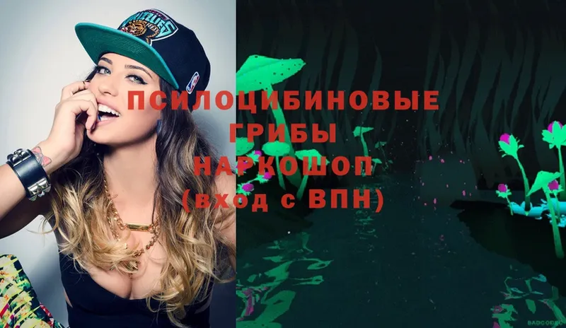 Псилоцибиновые грибы Magic Shrooms  Новокузнецк 